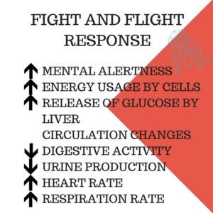 FIGHT AND FLIGHT RESPONSE Dr Faseeha Homeopath Stress: Are you coping??